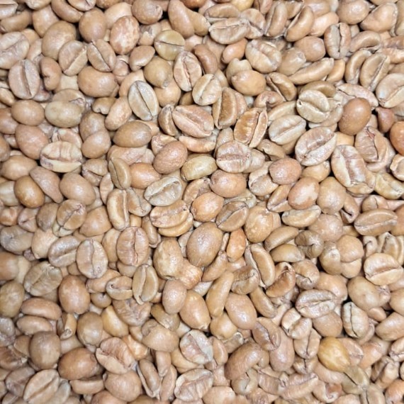 Greenbeans Liberika Kojal Kayong Utara - Grade Premium - Proses Natural Anaerob Klasik