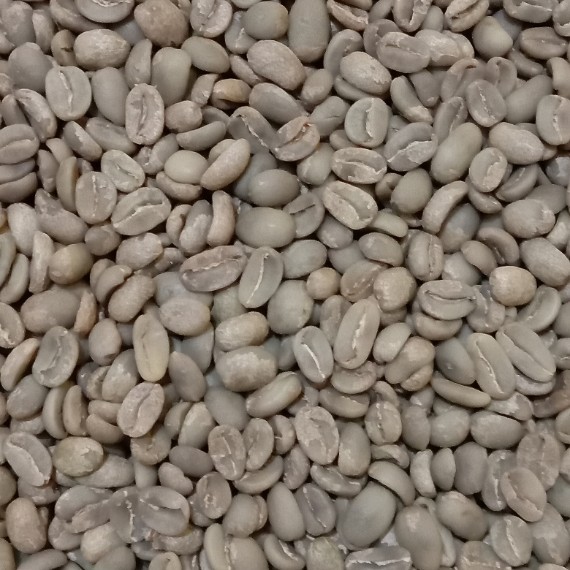 Arabica Toraja Kalosi and Robusta Seko Luwu