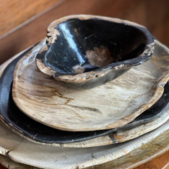 Natural Petrified Wood Bowl - Size S