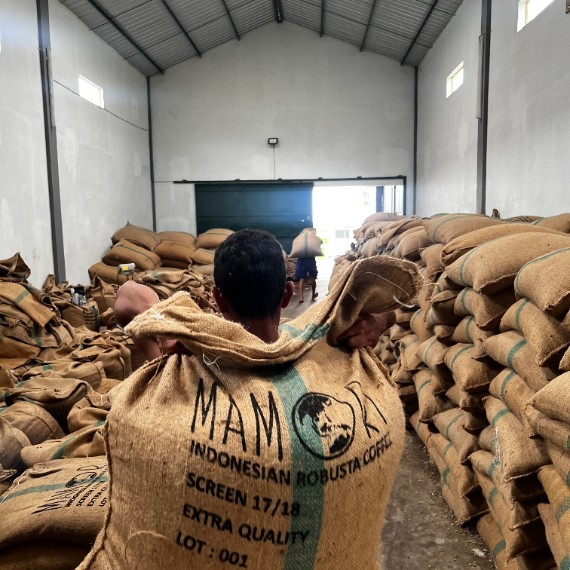 Arabica & Robusta Green Coffee Bean
