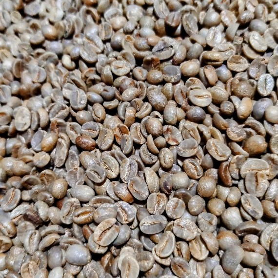 Sehati Kopi Celebes Specialty
