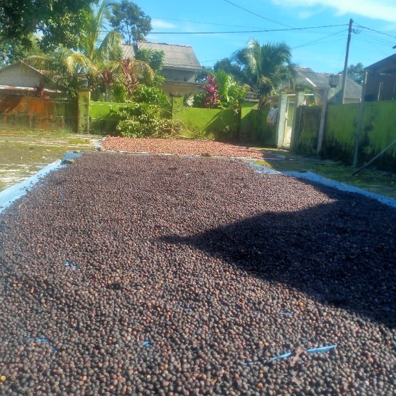 Coffee Kapling