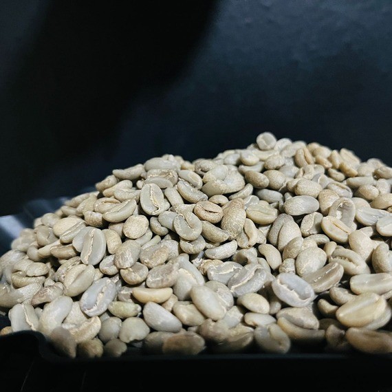 Papua Arabica