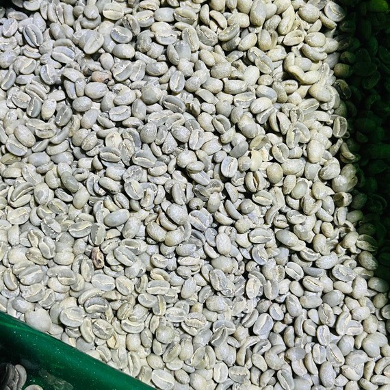 Papua Arabica