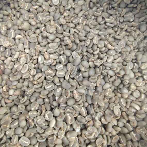 My Coffeeza Indonesia