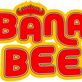 ANEKA